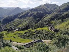 -紫鹊界梯田景区