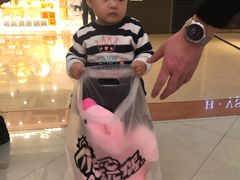 -PAWTOY爪e玩偶店(天兴罗斯福店)