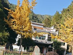 -途中饭店(开化店)