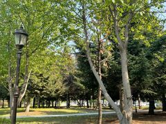 -哈尔滨师范大学(松北校区)