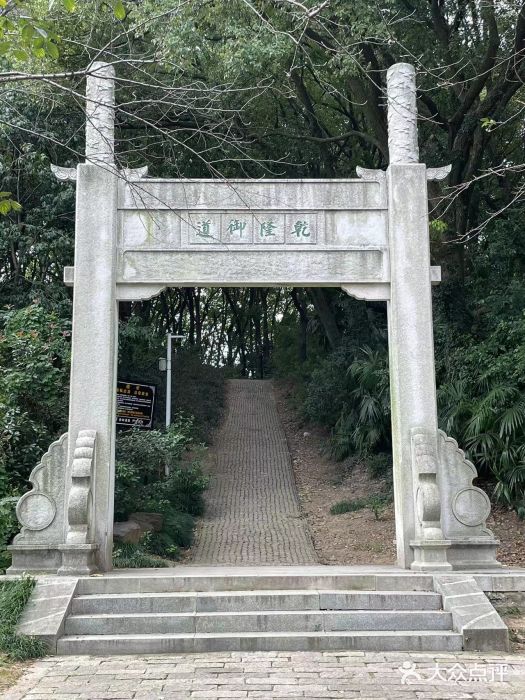 苏州上方山国家森林公园图片
