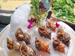 -金龙·打边炉(南京西路店)