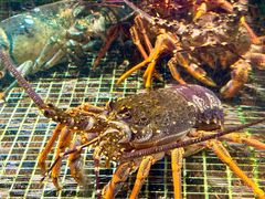 -海鲜e族(马王堆店)