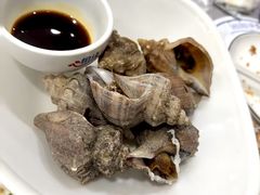 -小海丁