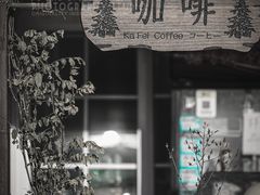 -怪坡茶馆