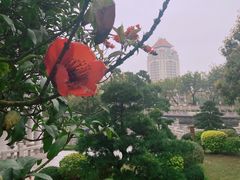-南普陀素菜馆
