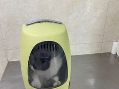 -酷宠动物医院(天通西苑店)