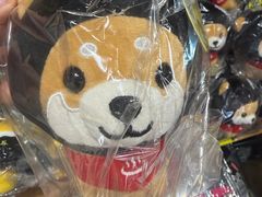 -心斋桥
