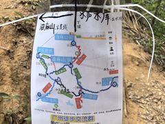 -黄埔油麻山森林公园