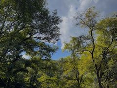 -北京西山国家森林公园