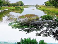 -鹤之洲湿地公园