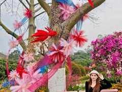 -东莞植物园