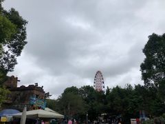 -南湖梦幻岛