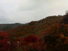-龙道沟景区