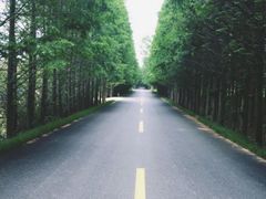 -渡海小渔村.老辈日照菜