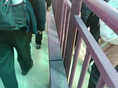 -栾川竹海野生动物园