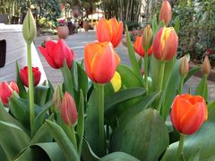 iphone_upload_pic-新竹里馆·花园餐厅(兴苑路店)