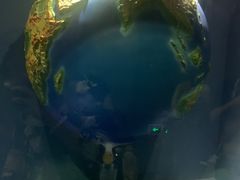 -浙江自然博物院(杭州馆)