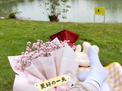 -瑶湖郊野森林公园