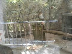 -黔灵山公园-南门售票处