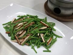 -丁老爷子苏香圆