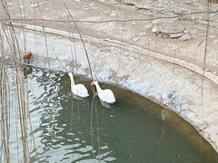 -太原动物园