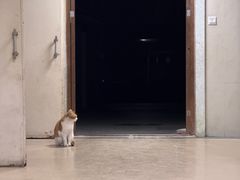 -洛阳周王城天子驾六博物馆