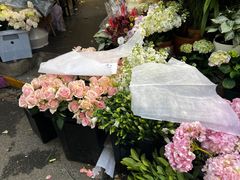 -循礼门鲜花花市(武汉循礼门店)