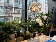 -懒人盐府人家(航天桥店)