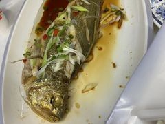-东夷海鲜巨无霸(东夷小镇店)
