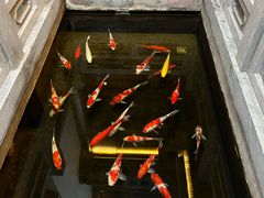 -鲤院·新中式美学·庭院餐厅(夫子庙店)