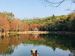 -深圳仙湖植物园