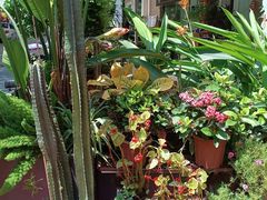 -山水茶艺馆·点心粤菜·30年老字号