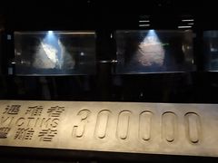 -侵华日军南京大屠杀遇难同胞纪念馆