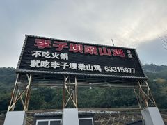 -李子坝梁山鸡(李子坝大鸡哥店)