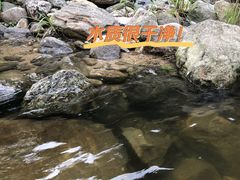 -罗田大别山峡谷漂流