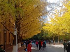 -辽宁大学(崇山校区)