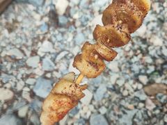 -雅鲁激流探险漂流