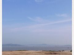 -阿南海鲜