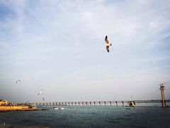 -大连圣亚海洋世界