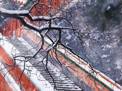 -颐和园
