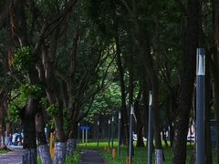 -深圳国际园林花卉博览园