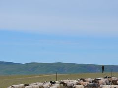 -德禄酸奶(莫家街店)