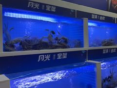 -蟹状元大闸蟹·年货·粽子(成都成华店)