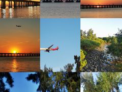 -宝安西湾红树林湿地公园