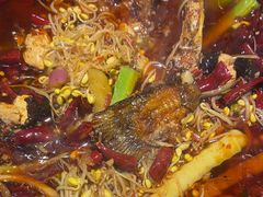 -阆辣荟餐饮(老味道8年·古城店)