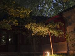 -博雅塔