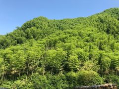 -将军关探险漂流