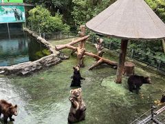 -深圳野生动物园