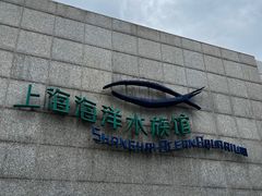 -上海海洋水族馆